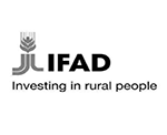 IFAD logo